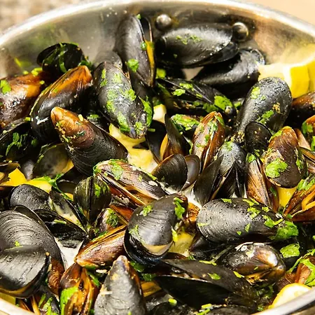 Üdülőközpont Sol Palace 5*