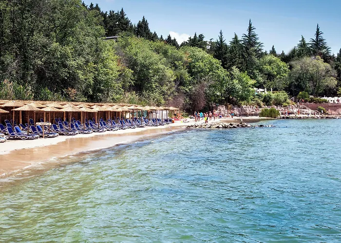 Sol Palace 度假村